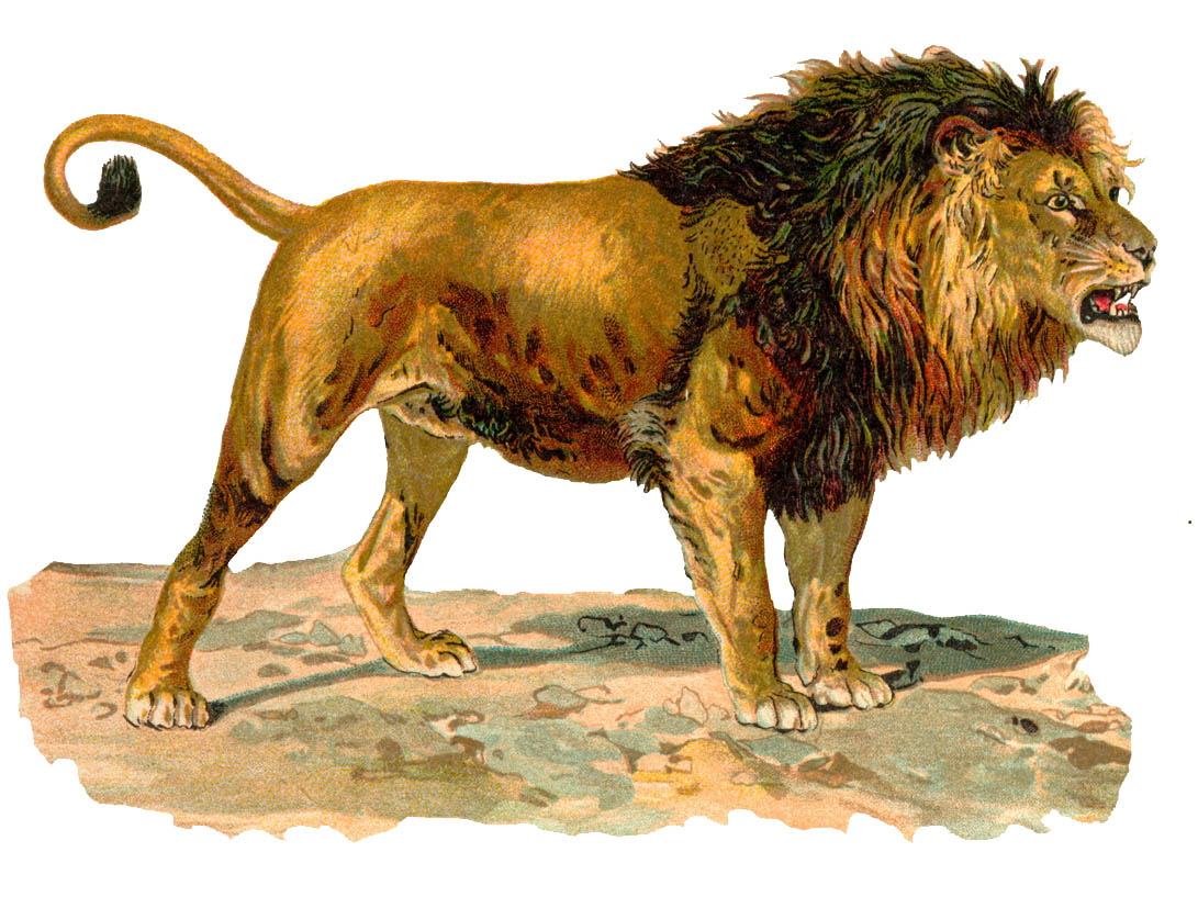 Il Diavolo è Come Un Leone Ruggente Eutico